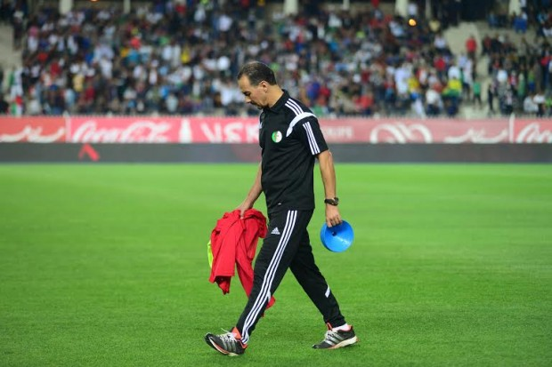 نبيل نغيز مساعدًا للمدرب بيتكوفيتش في المنتخب الجزائري